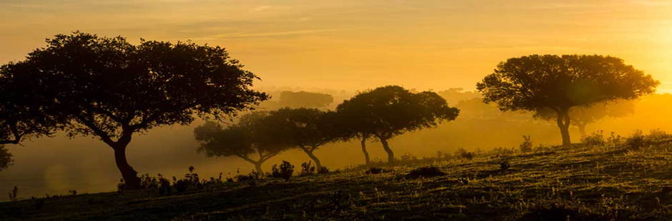 parajes-magicos-en-extremadura-53.jpg